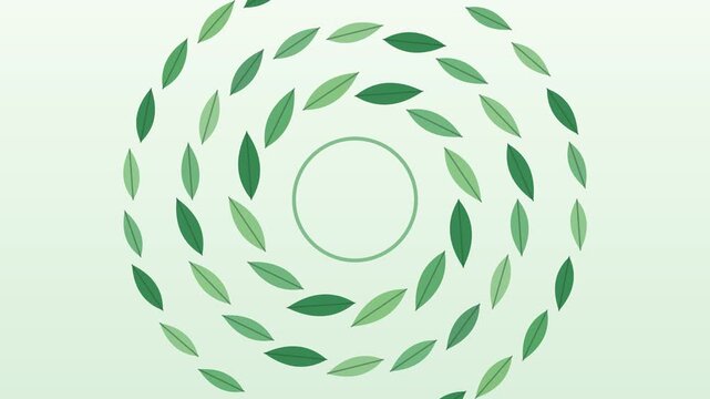 A turning ring of green leaves with an open centre