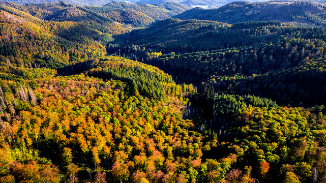 Aerial view of the Rothaargebirge Mountain Range covered in vibrant autumn foliage with dense forests and rolling hills in Bad Laasphe, North Rhine-Westphalia, Germany.