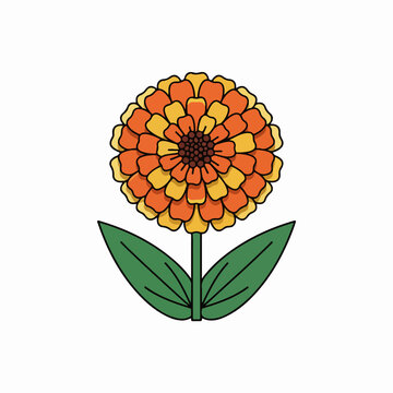 Illustration of a bright orange zinnia flower with green leaves.