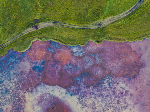 Aerial view of colorful wetland with purple and blue algae patterns contrasting against a lush green grassy bank and a winding dirt path in Selfoss, Sveitarfelagid Arborg, Iceland.