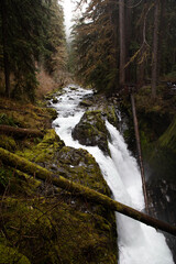 Sol Due falls in Olympic National Park in Washington on a moody rainy day., waterfall, water, nature, river, forest, landscape, cascade, mountain, falls © Angie