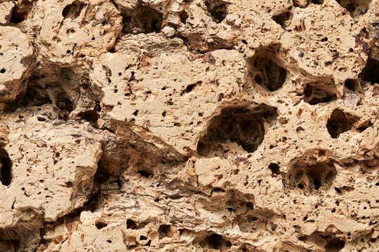 Close view of cork material showing holes and texture from a natural source area