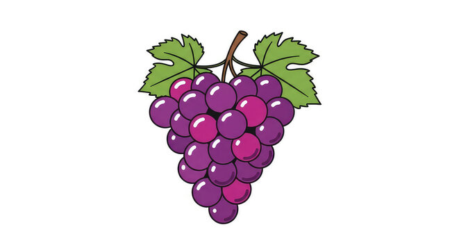 Purple grape bunch vector illustration