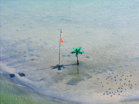 Aerial view of Palm Tree Island with a single palm tree, flags, parking meter and scattered birds on a sandy beach in Wrightsville Beach, North Carolina, United States.