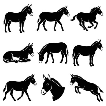 black and white vector silhouette set of kiang animal