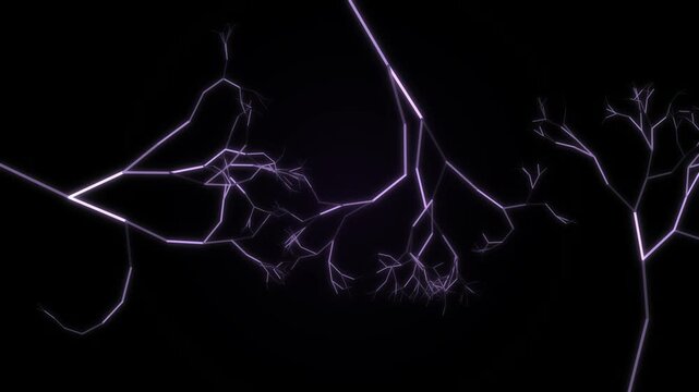 Lichtenberg figure electrical discharge pattern in violet
