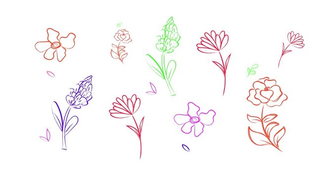 Colorful floral hand drawn doodles appearing dynamically on a clean white background screen