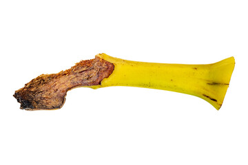 banana peel handgun concept surreal weapon fruit photography isolated closeup object © brovarky