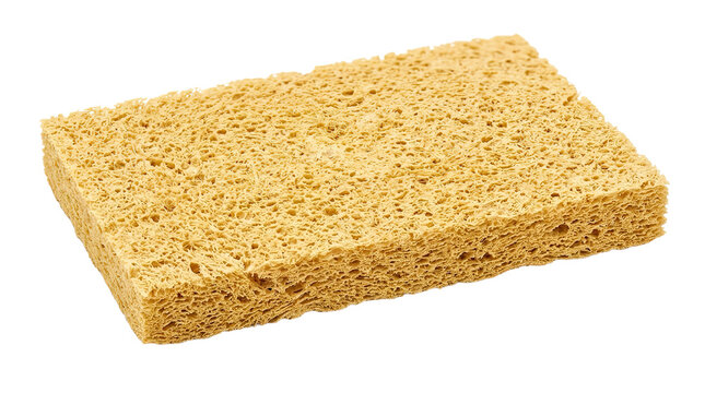 Close-up of yellow natural sponge with porous texture