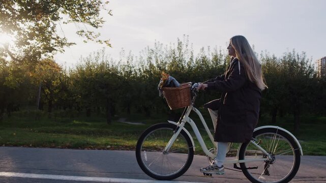 Woman in coat rides bicycle along road in twilight autumn park