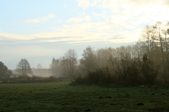 Golden sunrise over misty meadow with bare trees and sun rays in autumn countryside