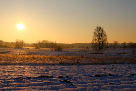 Golden sunrise over misty meadow with bare trees and sun rays in autumn countryside