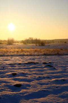 Golden sunrise over misty meadow with bare trees and sun rays in autumn countryside