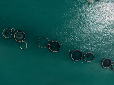 Aerial View of a Large Offshore Fish Farm in the Adriatic Sea