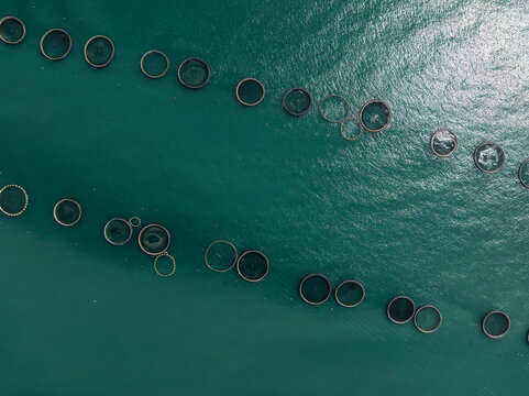 Aerial View of a Large Offshore Fish Farm in the Adriatic Sea