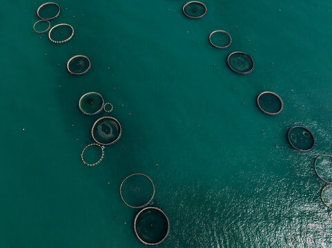Aerial View of a Large Offshore Fish Farm in the Adriatic Sea