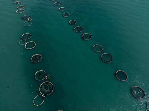 Aerial View of a Large Offshore Fish Farm in the Adriatic Sea