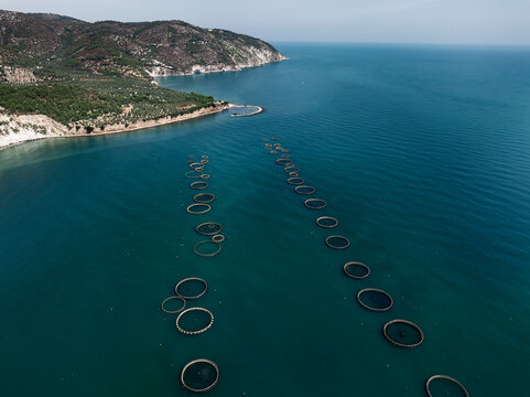 Aerial View of a Large Offshore Fish Farm in the Adriatic Sea