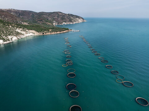 Aerial View of a Large Offshore Fish Farm in the Adriatic Sea