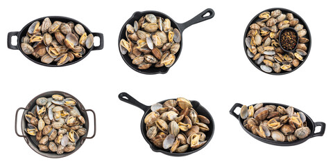 Vongole clams in patterned shells served in dark pans and bowls in six seafood arrangements isolated on white © Mironov