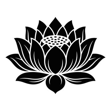 A black lotus flower illustration presented as a detailed silhouette