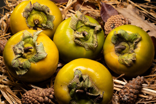 A delicious fruit typical of autumn: the persimmon.