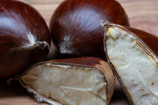 The quintessential autumn fruit: the chestnut