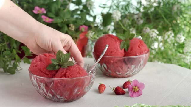Close-up of a woman placing a glass bowl of homemade strawberry sorbet on a table and removing her hand, revealing a fresh frozen dessert garnished with mint in a lush garden setting
