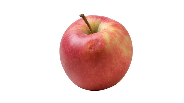 Isolated fresh ripe red and yellow apple with stem, presented above black bar containing text 'N (1164)'