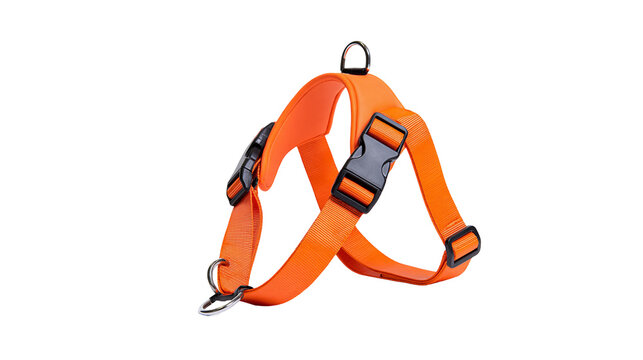 Isolated vibrant orange pet harness for dogs, adjustable straps and secure safety clips