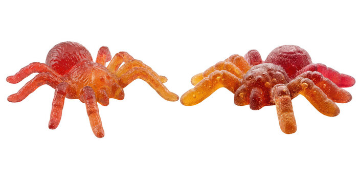 Red jelly spiders creepy halloween creepy crawly figures