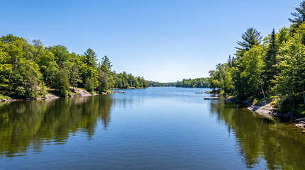Obraz premium Panoramic lake view with tree lined shores calm water and blue sky in summer. Concept of water reflection, forest shoreline. Copy space.
