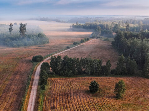 Aerial view of mist covered countryside at sunrise. Rolling fields stretch toward tree lined horizon. Winding road cuts through golden and green terrain. Small pond reflects morning sky. Nature scene