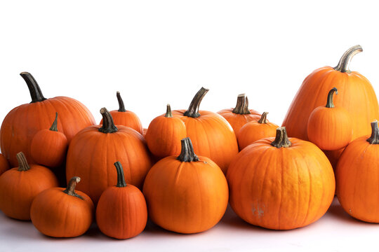 Flat lay arrangement with pumpkins on wooden background