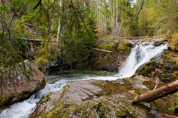 A serene waterfall cascades through a lush green forest, flowing into a clear pool in a remote nature. Koprova dolina, a valley in the High Tatras National Park, Slovakia, Europe. © Viliam