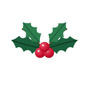 Holly sprig with green leaves and red berries, classic Christmas plant isolated vector illustration