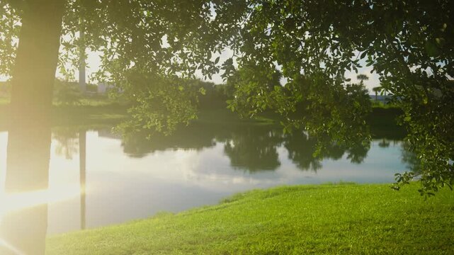 Bright sun flare shining through green tree leaves by a calm lake with water reflections