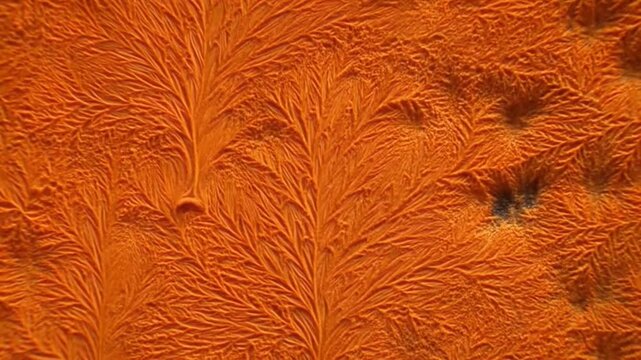 Orange frost crystals form fernlike patterns across a dark textured frozen surface
