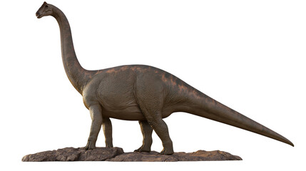 Isolated giant Brachiosaurus sauropod dinosaur, a prehistoric herbivore standing on rocks © Lucas