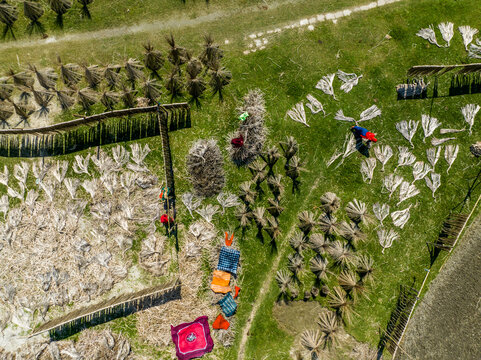 Hemnagar, Dhaka Division, Bangladesh - 24 August 2024: Aerial view of people drying bundles of jute fibers on the grass with colorful fabrics spread out under the sun.