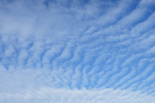 Blue sky with textured, wavy cirrocumulus clouds filling the frame, ideal natural background for weather or travel themes, high resolution. Real photo.