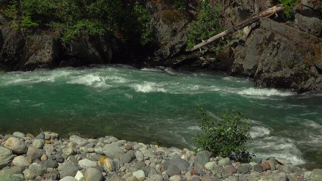 The turquoise Cheakamus River water churning into a swirling eddy near Whistler, British Columbia. Rushing glacial currents flow past a rocky gravel shoreline and stone cliffs during summer.