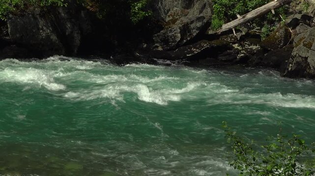 Close-up view of the turquoise Cheakamus River water churning into a swirling eddy near Whistler, British Columbia. Rapid glacial currents rush violently past dark stone canyon walls in summer.
