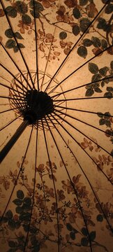 A traditional floral paper parasol viewed from underneath reveals radiating wooden spokes and a warm sepia canopy decorated with delicate vintage flowers and leaves.