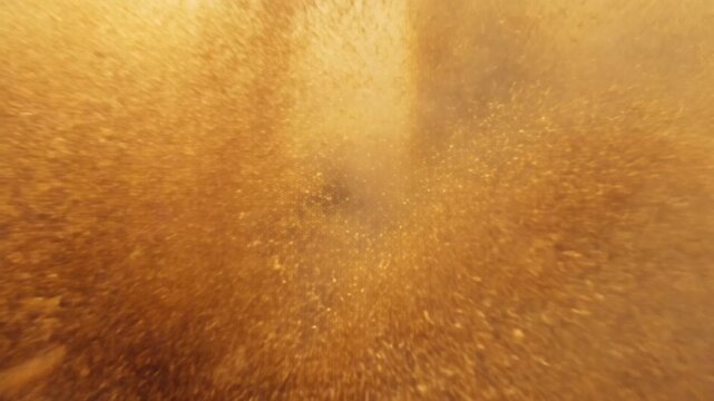 Suspended golden sediment fills murky underwater scene above a sandy bottom