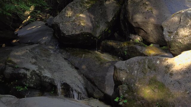 A close-up of fresh water trickling down large, mossy granite boulders at the base of Shannon Falls in Squamish, British Columbia. Sunlight highlights the dark stone landscape textures.