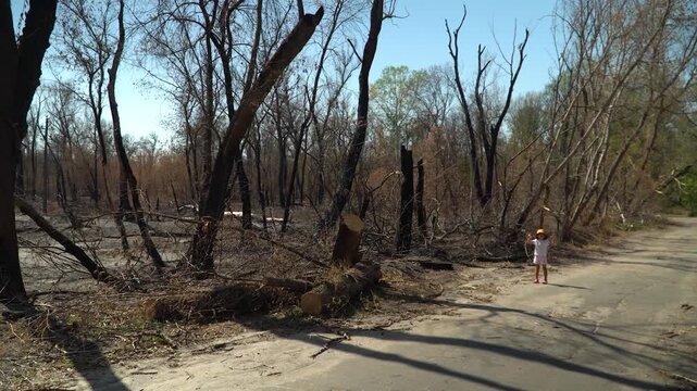 A spring day, filming forest, remains burnt bushes trees, dried-up river background, natural disaster, absence animals and birds, A little girl stands against the backdrop disaster waves hands camera