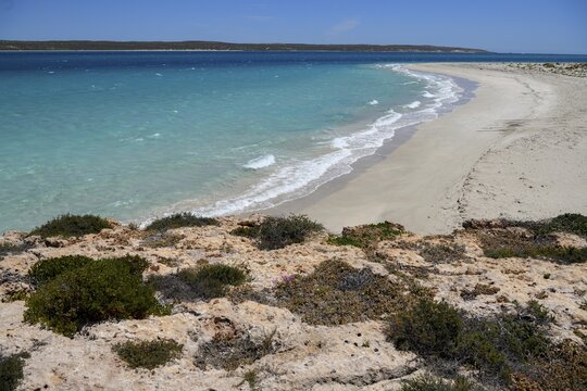 Landscape on Dirk Hartog Island, Dirk Hartog Island National Park, named after the Dutch navigator of the same name, Shire of Shark Bay, State of Western Australia, Australia