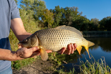 Fisherman Holding a Large Common Carp Caught in a Freshwater Lake © Olha Semeniv