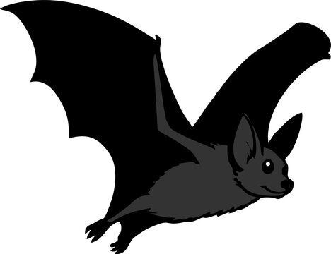 Halloween flying bats silhouette Bats Logo Bat Logo Bat vector illustration
